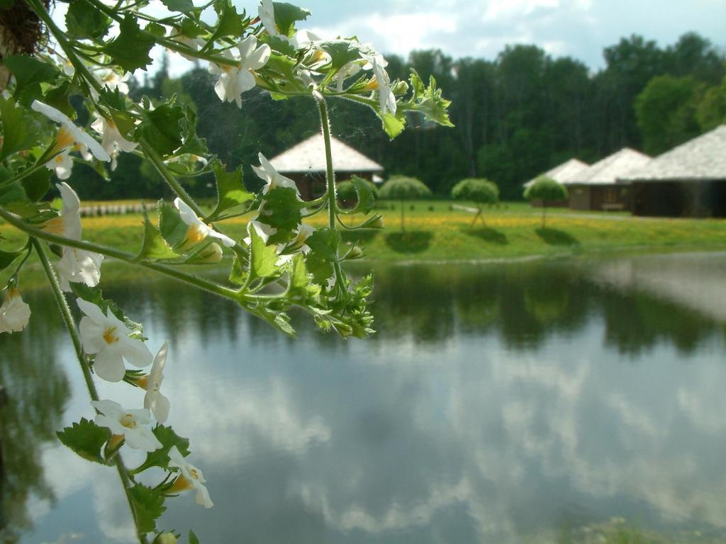 Recreation Center Bruveri Sigulda Bilik gambar